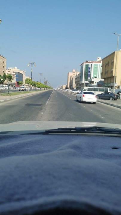 مشاركاتي في أنت الراصد