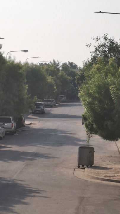 مشاركاتي في أنت الراصد