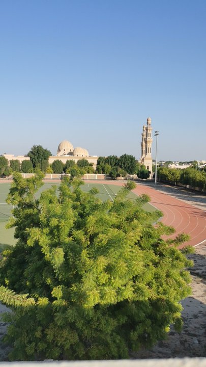 مشاركاتي في أنت الراصد