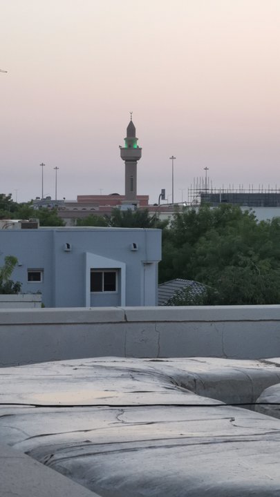 مشاركاتي في أنت الراصد