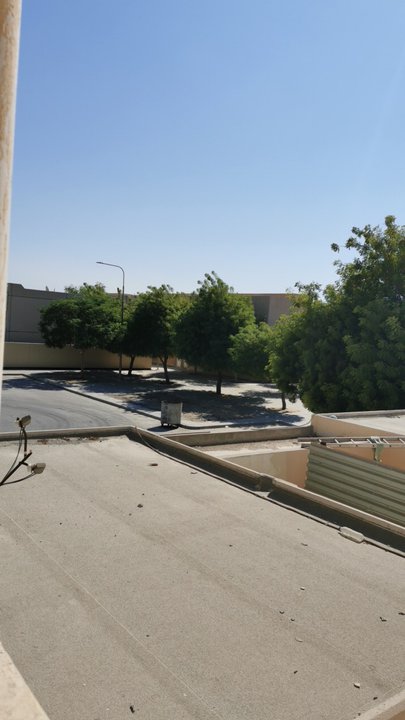 مشاركاتي في أنت الراصد