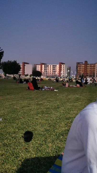 مشاركاتي في أنت الراصد