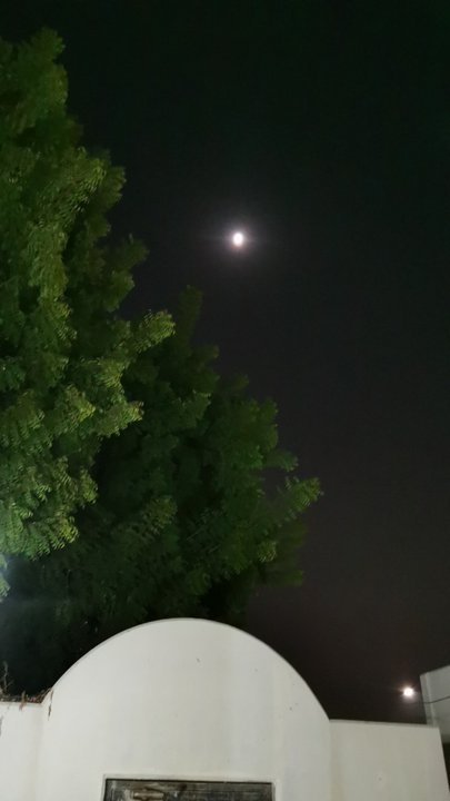 مشاركاتي في أنت الراصد