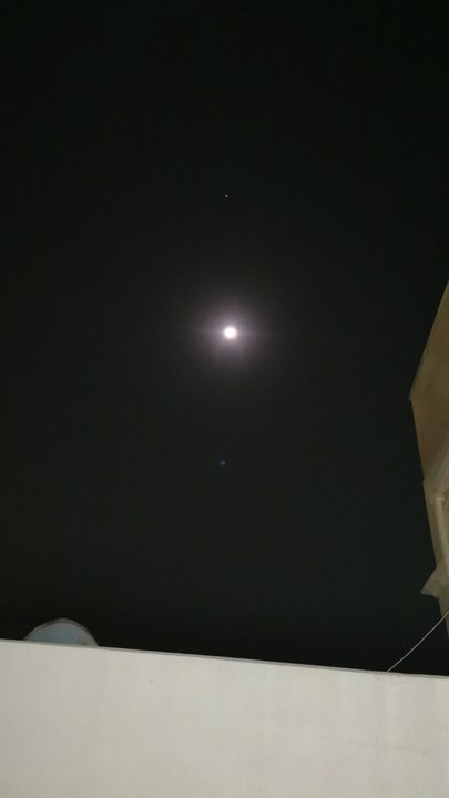 مشاركاتي في أنت الراصد