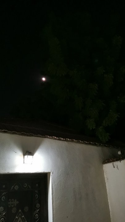 مشاركاتي في أنت الراصد