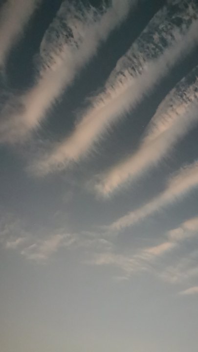 مشاركاتي في أنت الراصد