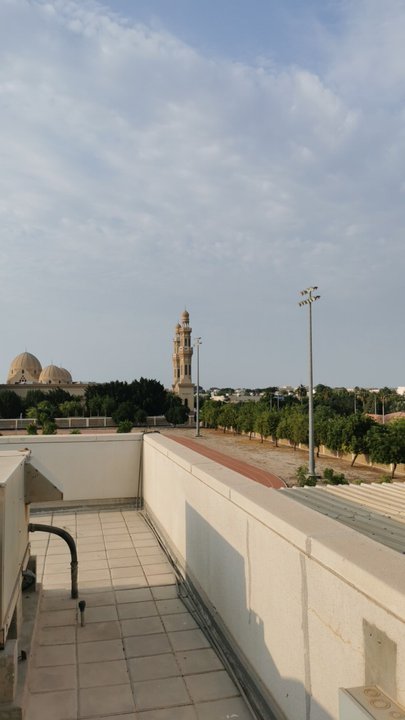 مشاركاتي في أنت الراصد