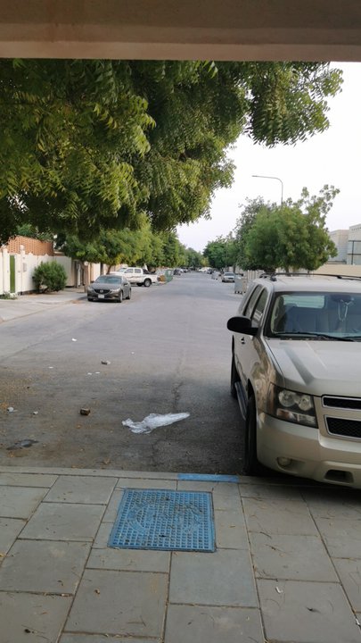 مشاركاتي في أنت الراصد