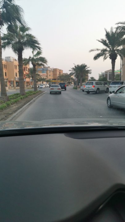 مشاركاتي في أنت الراصد