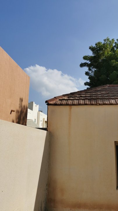 مشاركاتي في أنت الراصد