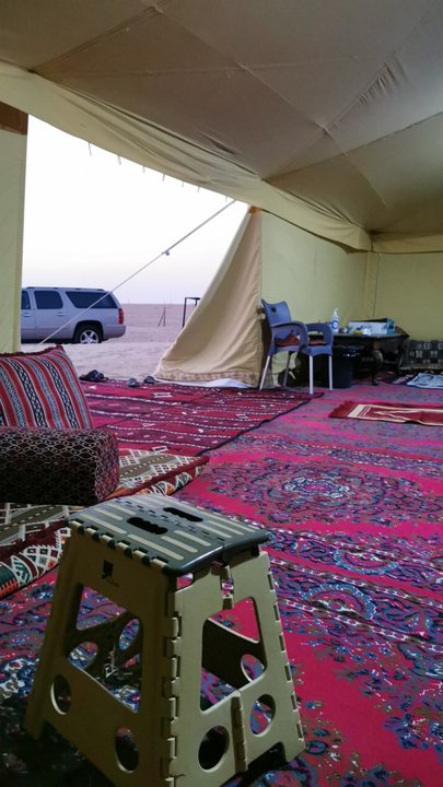 مشاركاتي في أنت الراصد