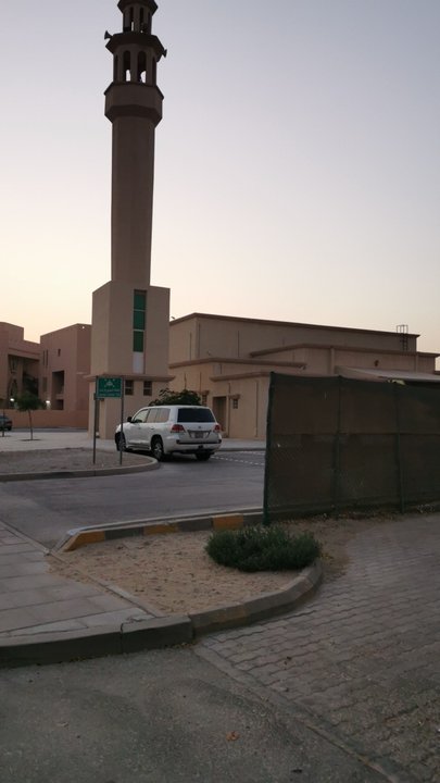 مشاركاتي في أنت الراصد