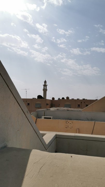 مشاركاتي في أنت الراصد