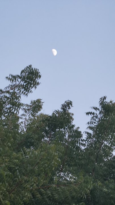 مشاركاتي في أنت الراصد