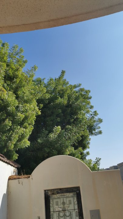 مشاركاتي في أنت الراصد