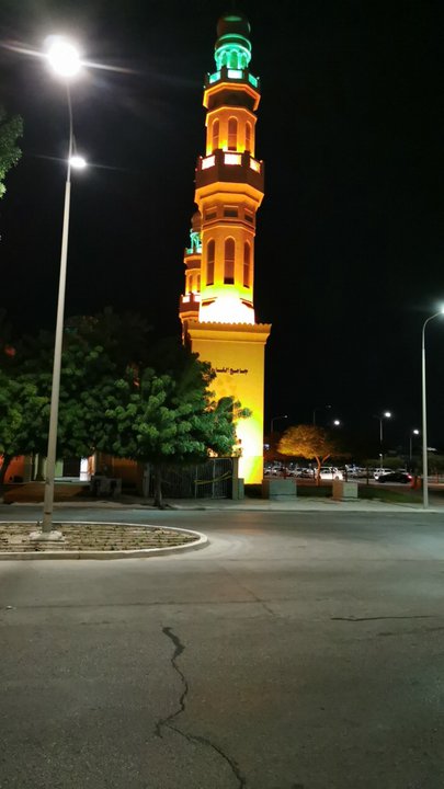 مشاركاتي في أنت الراصد