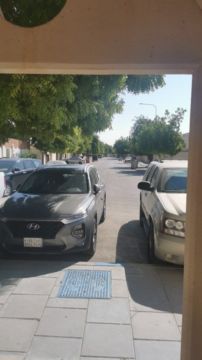 مشاركاتي في أنت الراصد