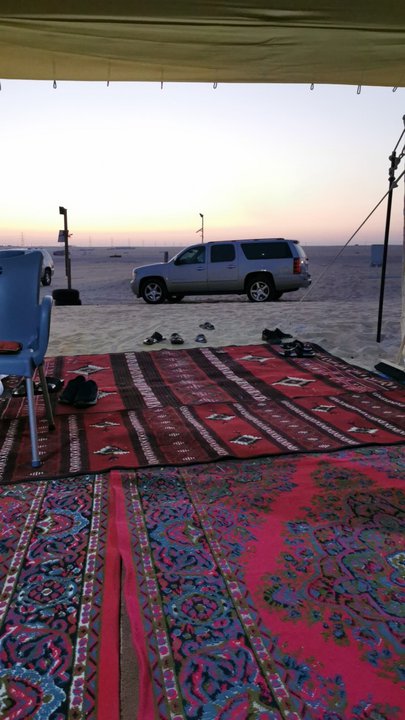 مشاركاتي في أنت الراصد