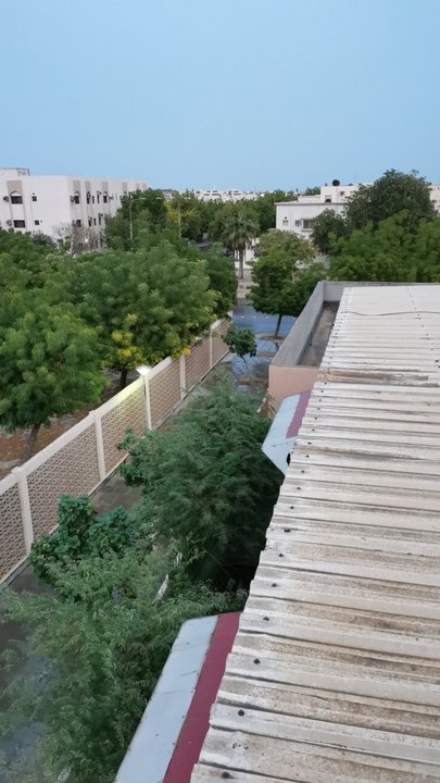 مشاركاتي في أنت الراصد