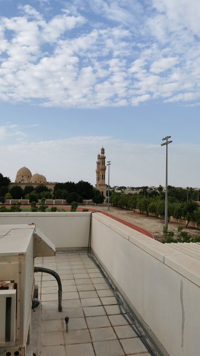 مشاركاتي في أنت الراصد