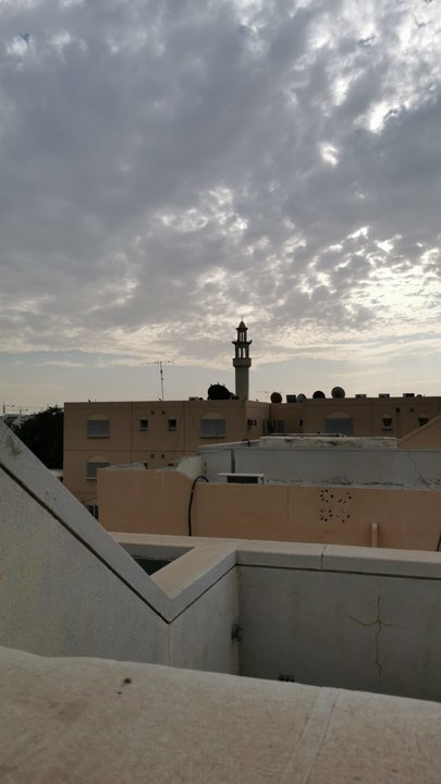 مشاركاتي في أنت الراصد