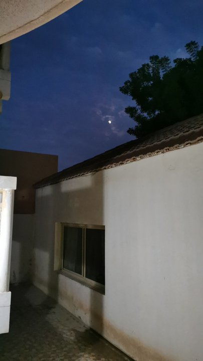 مشاركاتي في أنت الراصد