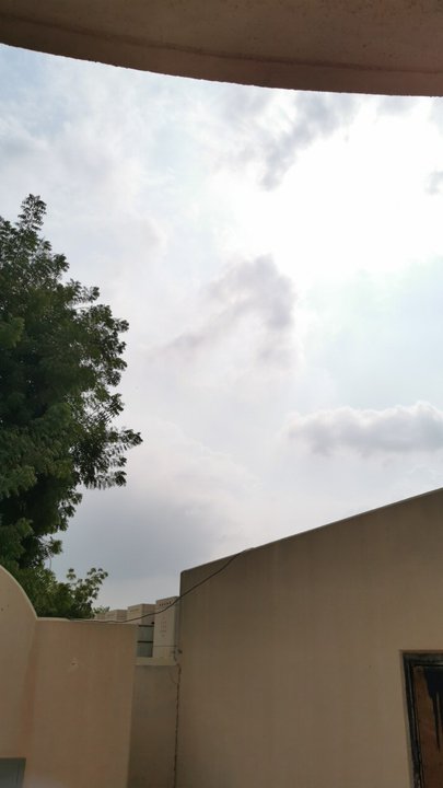 مشاركاتي في أنت الراصد