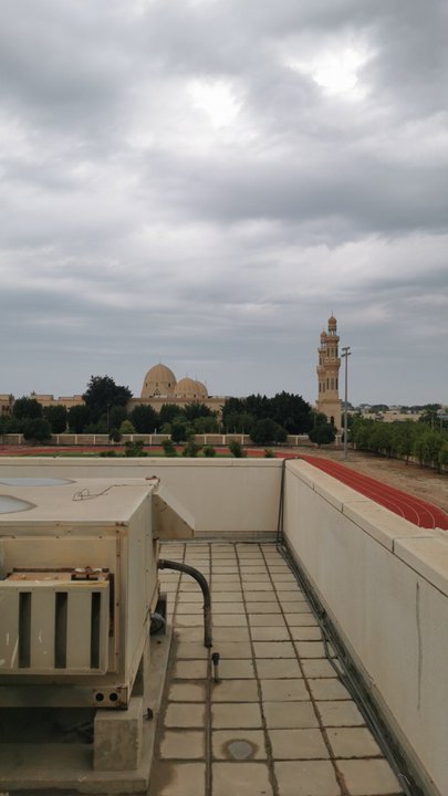 مشاركاتي في أنت الراصد