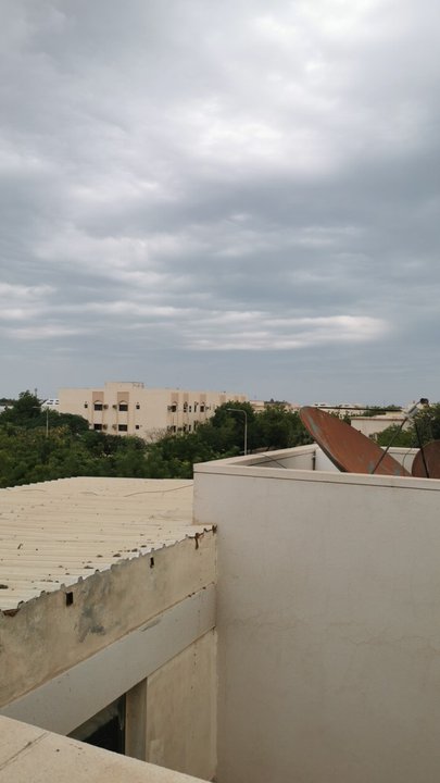 مشاركاتي في أنت الراصد