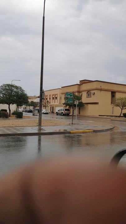 مشاركاتي في أنت الراصد