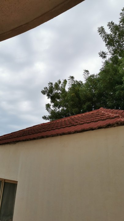 مشاركاتي في أنت الراصد