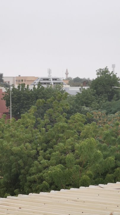 مشاركاتي في أنت الراصد