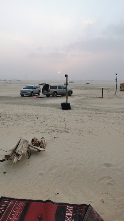 مشاركاتي في أنت الراصد