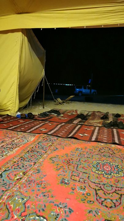 مشاركاتي في أنت الراصد