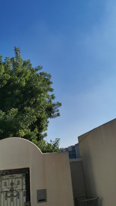 مشاركاتي في أنت الراصد