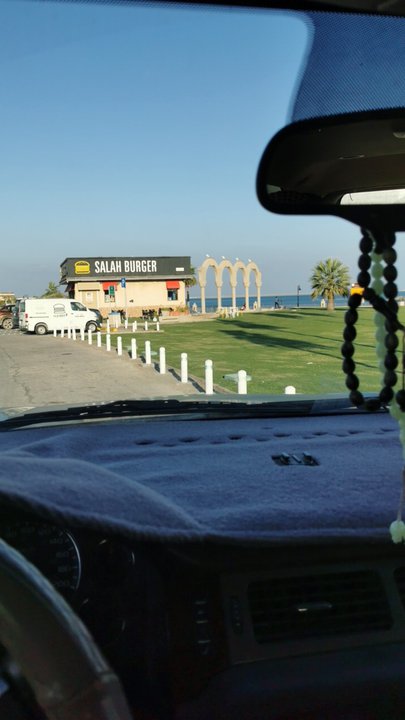 مشاركاتي في أنت الراصد