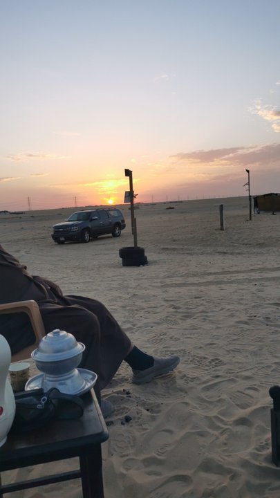 مشاركاتي في أنت الراصد