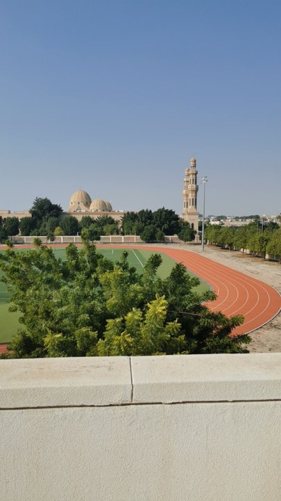 مشاركاتي في أنت الراصد