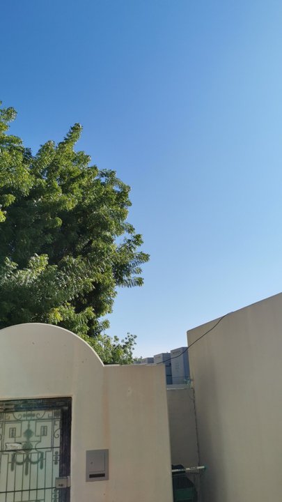 مشاركاتي في أنت الراصد