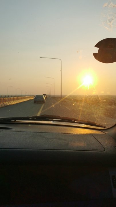 مشاركاتي في أنت الراصد