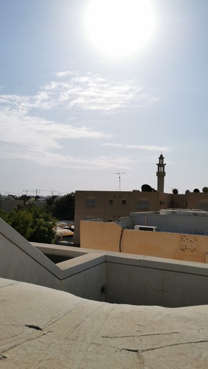 مشاركاتي في أنت الراصد