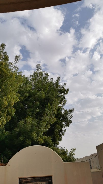 مشاركاتي في أنت الراصد