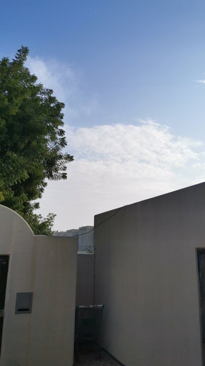 مشاركاتي في أنت الراصد