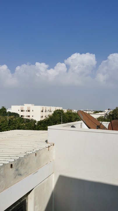 مشاركاتي في أنت الراصد