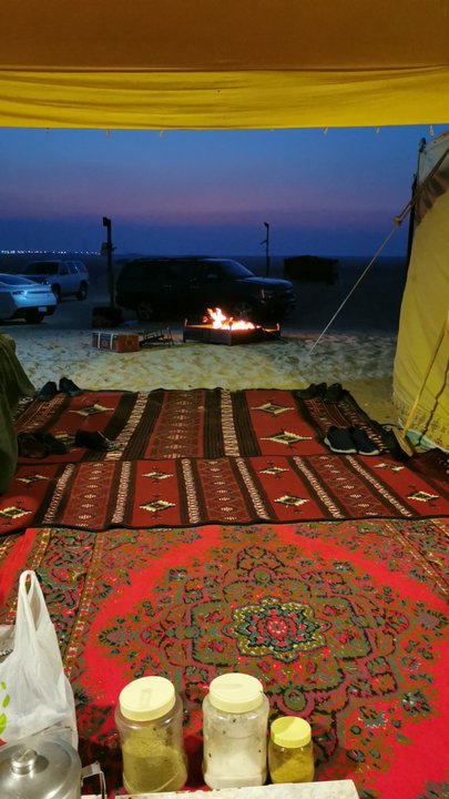 مشاركاتي في أنت الراصد