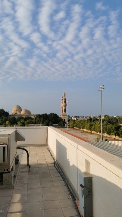 مشاركاتي في أنت الراصد