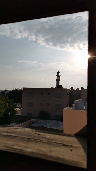 مشاركاتي في أنت الراصد