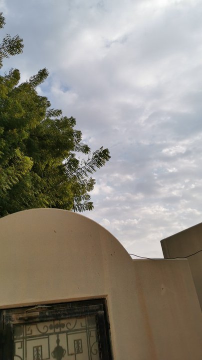 مشاركاتي في أنت الراصد