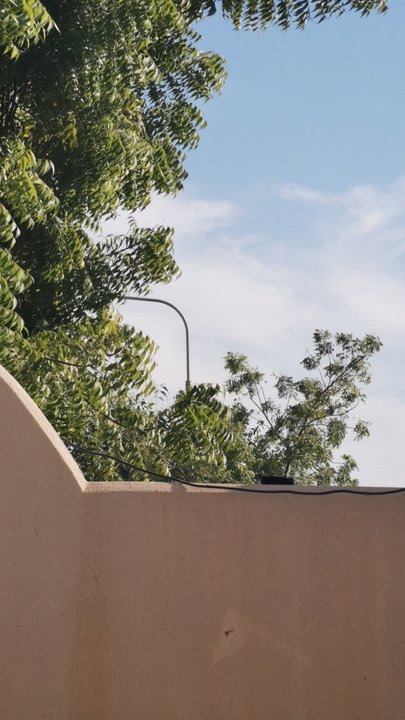 مشاركاتي في أنت الراصد