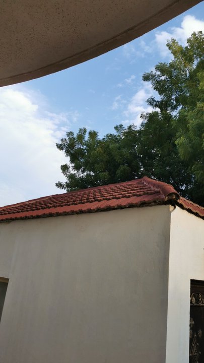 مشاركاتي في أنت الراصد